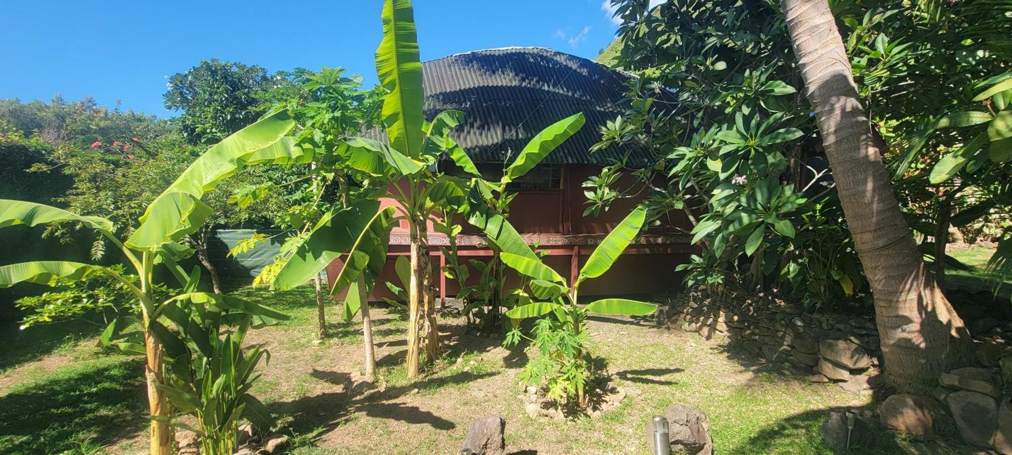 Location " La Pirogue " Maison D'Hotes A Moorea Haapiti Exterior foto